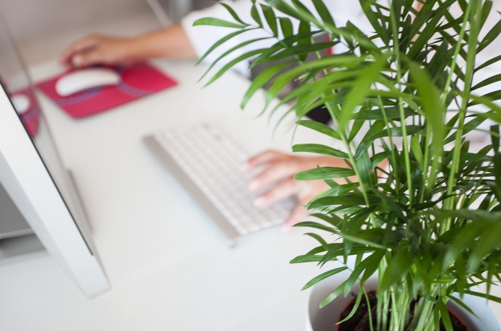 Support, télétravail, sécurité : l'essor des outils de prise en main à distance en entreprise 2