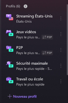 Proton VPN : un VPN sécurisé et transparent pour protéger sa vie numérique 4 Proton VPN profils